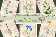 Herbal Botanical Cards, an Illustration by Arevka (Thumbnail 1 of 3)