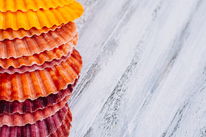 Colorful seashells containing background, sea, and shell