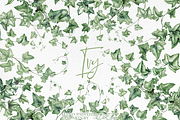 Ivy Watercolor Illustration, a Decorative Illustration by DioFlow (Thumbnail 1 of 5)