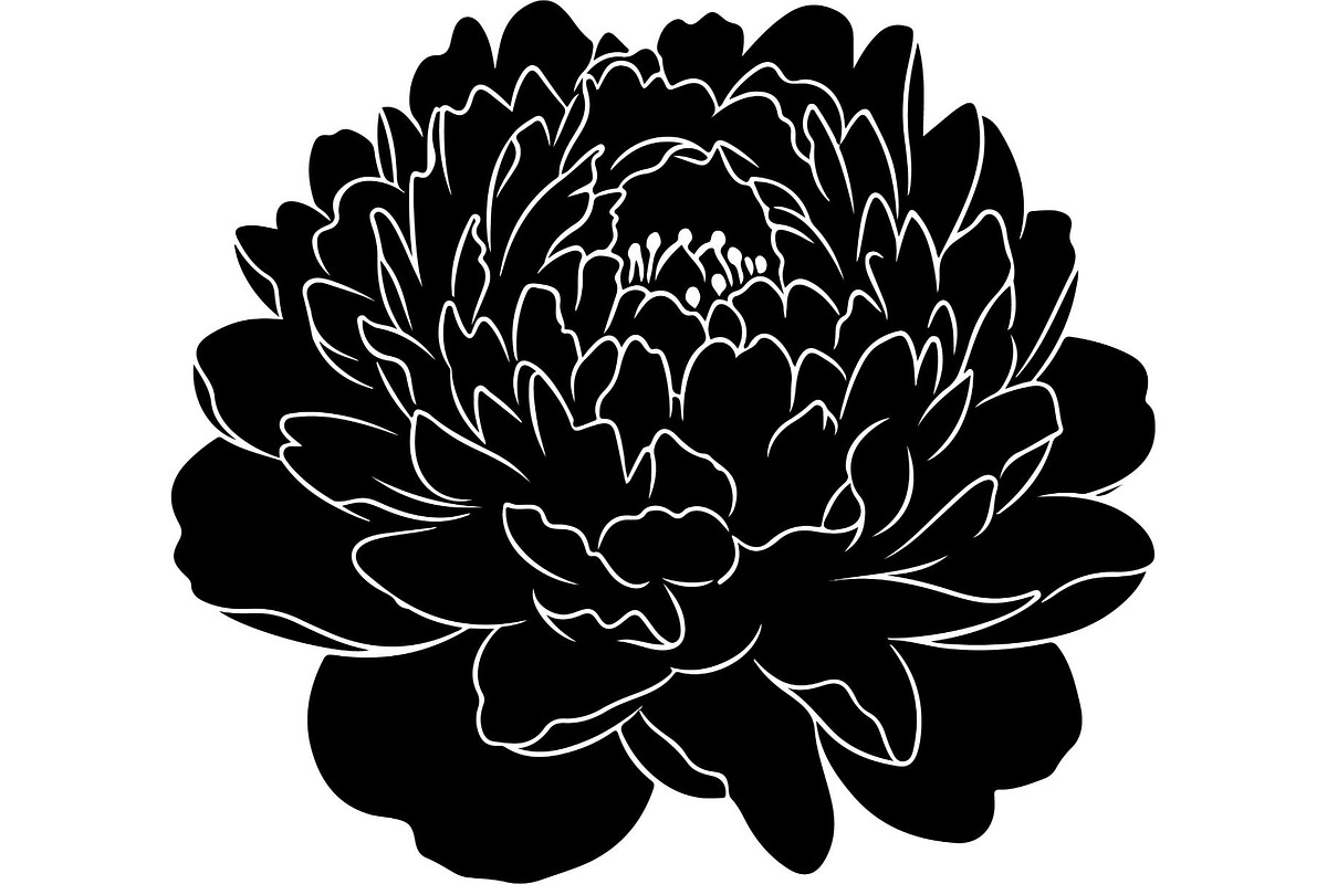 Peony Flower Silhouette, an Object Graphic by Designer_Momina (Photo 2 of 18)