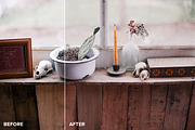 FilmTone Natural Photoshop Actions preview 4