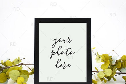Eucalyptus Frame Mockup