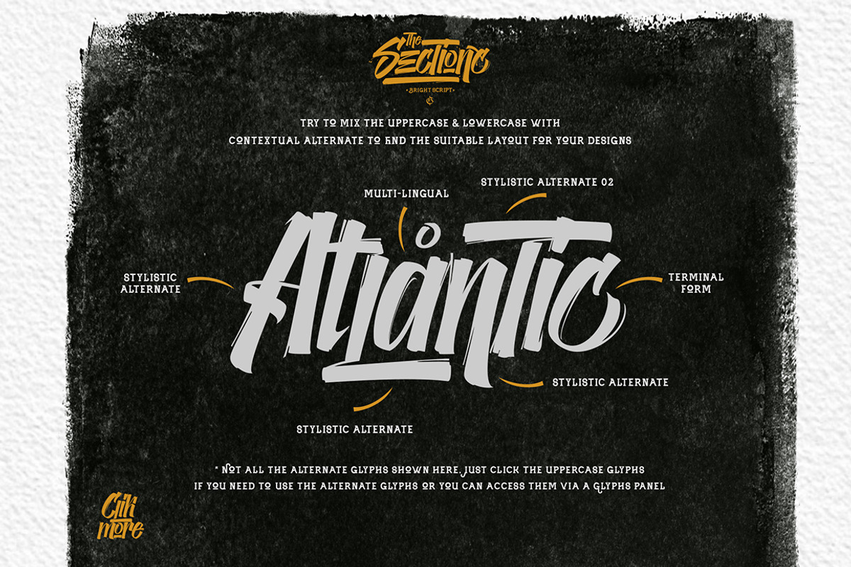 The Sectione Bright preview 2