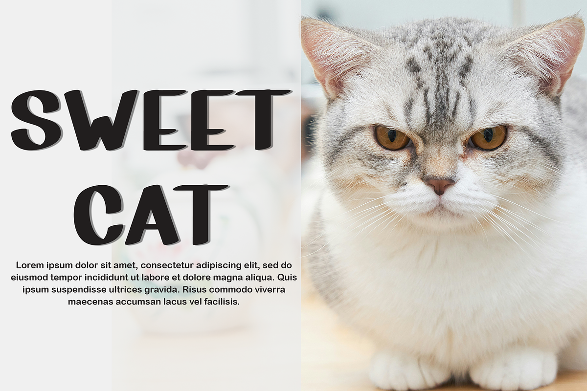 After Sunday, a Script Font by InermediaSTUDIO (Photo 4 of 8)