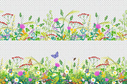 Summer Meadow Plants  and Insects, a Decorative Illustration by Valentyna Smordova (Thumbnail 4 of 4)