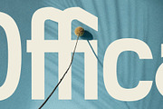 Baroque Grotesk - Ultra Bold Font, a Sans Serif Font by SilverStag Type Foundry (Thumbnail 18 of 20)