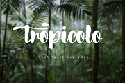 Scotland, a Script Font by Gatype (Thumbnail 7 of 10)