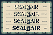 Sealgair, a Serif Font by Burntilldead (Thumbnail 4 of 11)