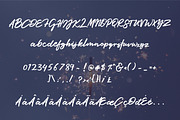 Glitter City Font Trio + Logos, a Script Font by theinkaffair (Thumbnail 10 of 10)