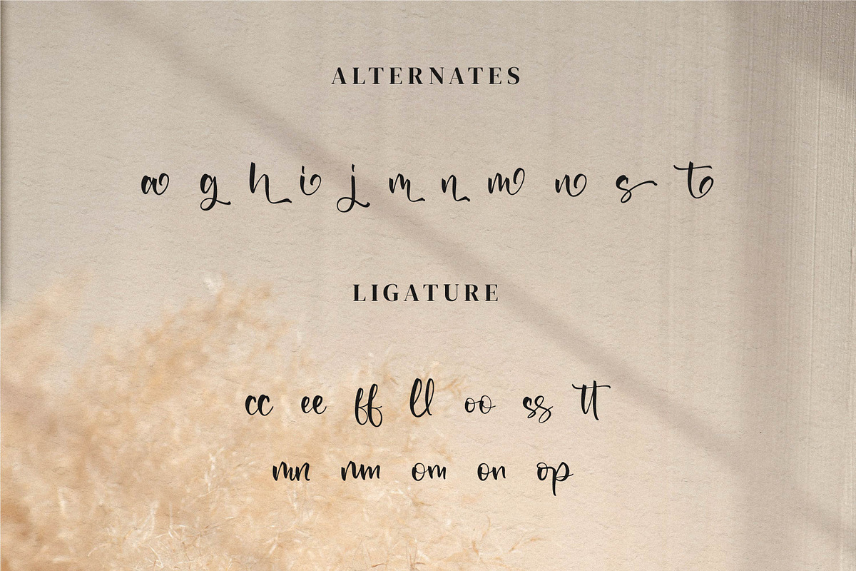 The Spirit, a Script Font by Integritype Studio (Photo 10 of 14)