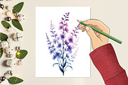 Larkspur Flower Watercolor Cliparts, an Illustration by RobertsArt (Thumbnail 5 of 7)