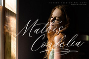 Whitley Pattrycia Luxury Calligraphy, a Script Font by Storytype Studio (Thumbnail 4 of 12)