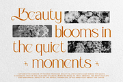 Butterfly - Aesthetic Serif Typeface, a Serif Font by Inviline.co (Thumbnail 9 of 10)