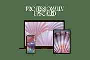 60 Aesthetic Seashells Stock Photos, a Nature Photo by Incomelion (Thumbnail 5 of 14)