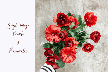 Red Flowers Styled Stock Image 
