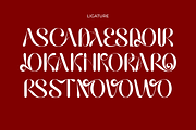 Hailing, a Sans Serif Font by zaaintype (Thumbnail 8 of 14)