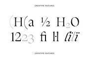 Silene - Elegant Serif Typeface, a Serif Font by Piotr Łapa (Thumbnail 11 of 12)