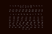 Morgin Astera Serif Typeface, a Serif Font by Dylla_studio (Thumbnail 15 of 15)