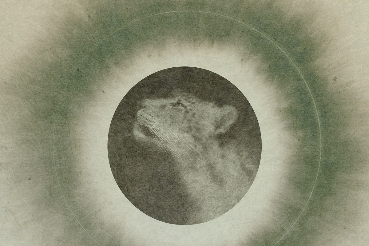 Otherwhere - Ethereal Backgrounds, a Background Graphic by alonahaidash (Photo 5 of 17)
