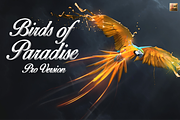 Birds of Paradise ©, a Script Font by Script-house (Thumbnail 3 of 3)