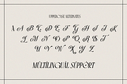 Chasa Marelo - Luxury Branding Font, a Serif Font by Say Studio (Thumbnail 12 of 13)