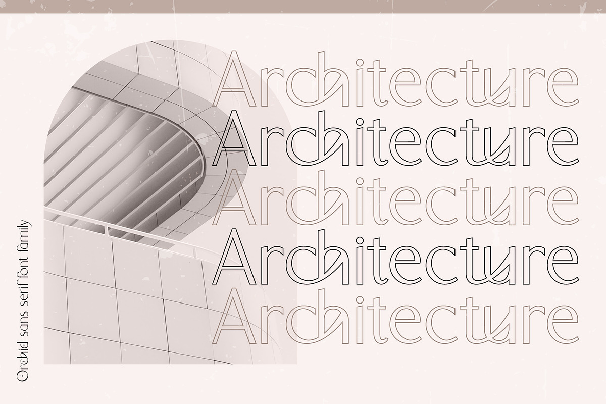 Orchid Sans Serif Font Family, a Sans Serif Font by Anna Zakharchenko (Photo 5 of 12)