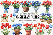 Amsterdam Summer Tulips Clipart, an Illustration by Designworld (Thumbnail 1 of 6)