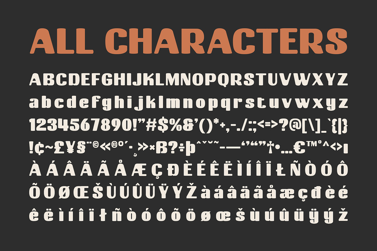 Casile – Bold Font, a Sans Serif Font by Craft Supply Co. (Photo 8 of 8)
