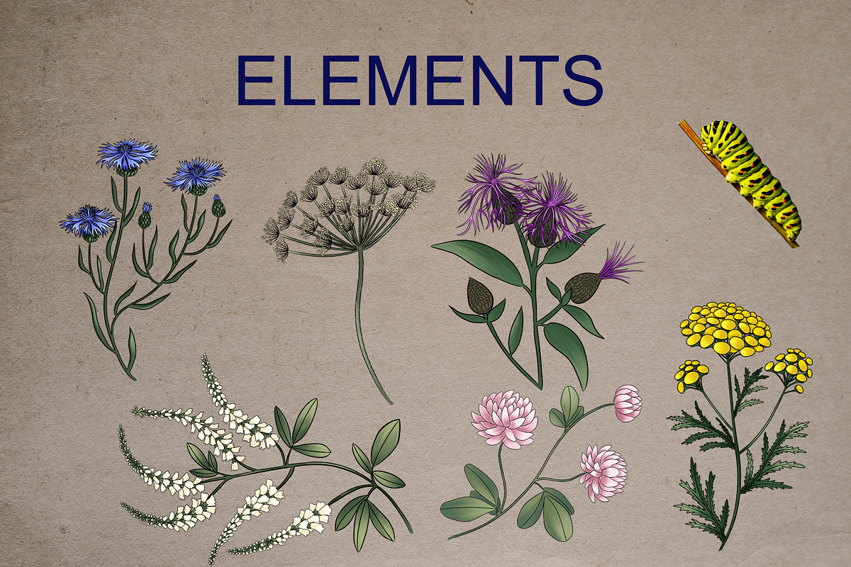 Meadow collection, a Decorative Illustration by sizileon (Photo 3 of 8)