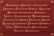 AM Rosnely (Disc 20%), a Serif Font by Akarmati (Thumbnail 4 of 10)