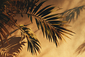 Leaves cast shadows on a wall, a Photo by Pavel_design
