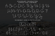 Adelia Signature, a Handwritten Font by FreshTypeINK (Thumbnail 3 of 8)