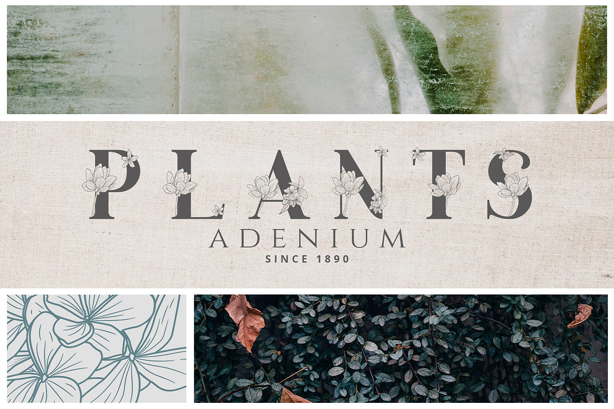 Adenium Font + Gold & Rose Gold Foil preview 5