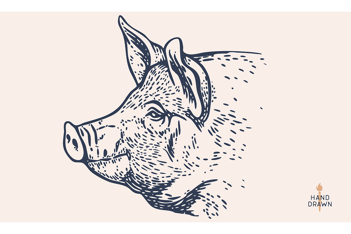 Pork, pig, hog, meat sketch, an Animal Illustration by Foxys Graphic (Photo 3 of 3)