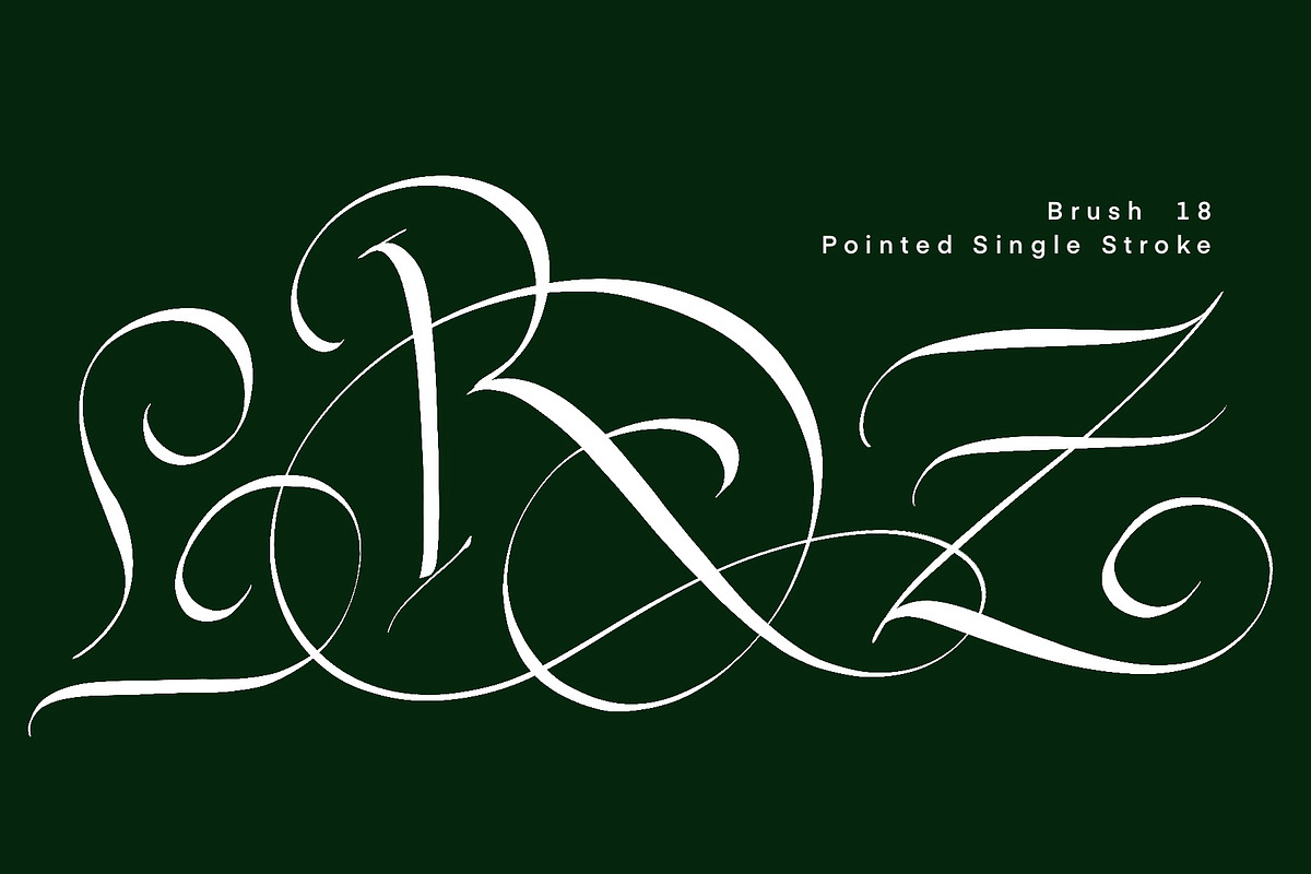 CalligraphyMasters Procreate Brushes, a Brush Add-On by the Fontmaker (Photo 36 of 38)