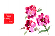№1 Peony, painted in watercolor, a Presentation Template by Rasveta (Thumbnail 2 of 4)