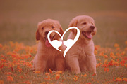 Dog Love Logo, a Branding & Logo Template by Abir Hossain Waffi (Thumbnail 1 of 5)