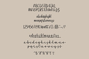 Southiya - Modern Calligraphy Font, a Script Font by StringLabs (Thumbnail 4 of 5)