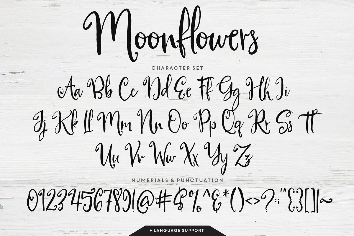 Moonflowers Font Family preview 6