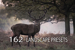 162 Landscape Presets Bundle
