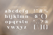 Vinaly Serif Font, a Serif Font by Idea Studio (Thumbnail 9 of 11)