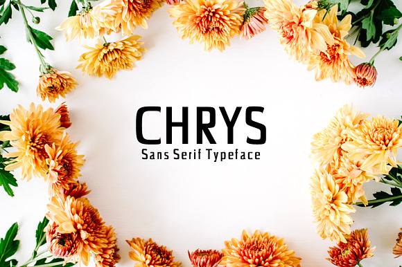 Chrys Sans Serif Font Family Pack preview 7