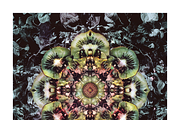 Muit Co · Retro Fruit Mandalas, a Food Illustration by milatovar (Thumbnail 11 of 22)