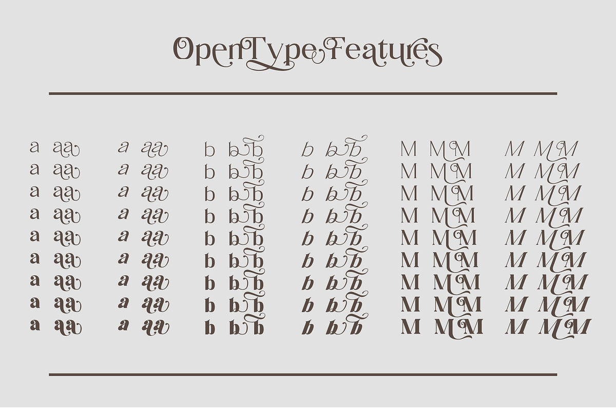 Horst More Retro Soft Serif, a Serif Font by AuthenType (Photo 8 of 10)
