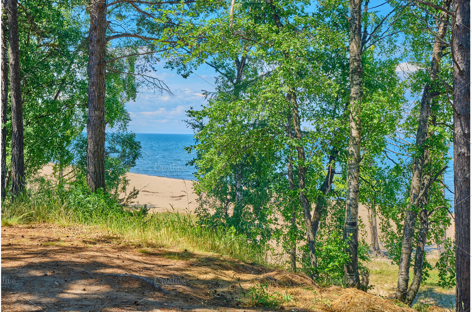 Lake Baikal coast, hill with forest, a Nature Photo by PhotoXab