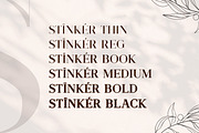 Stinker - Modern Serif Family, a Serif Font by Mokatype Studio (Thumbnail 9 of 11)