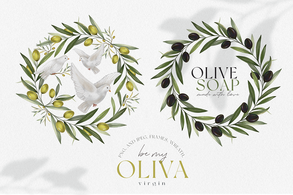 Olive illustrations and logos, an Illustration by Ojeny shop (Photo 2 of 8)