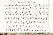 Ms Stusi Calligraphy, a Handwritten Font by Glyphstyle (Thumbnail 8 of 10)