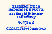Mie Lobak Playful Retro Slab Serif, a Slab Serif Font by Maulana Creative (Thumbnail 6 of 7)