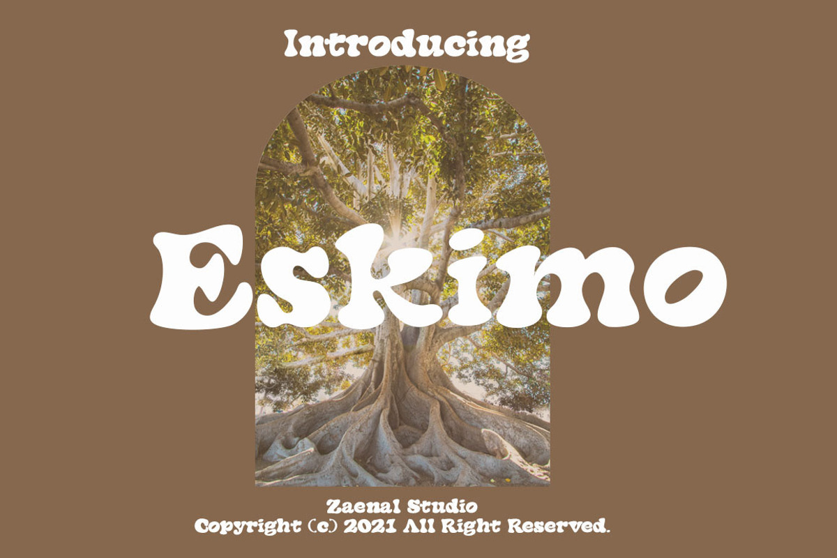 Eskimo, a Script Font by Zaenal Studio (Photo 1 of 11)